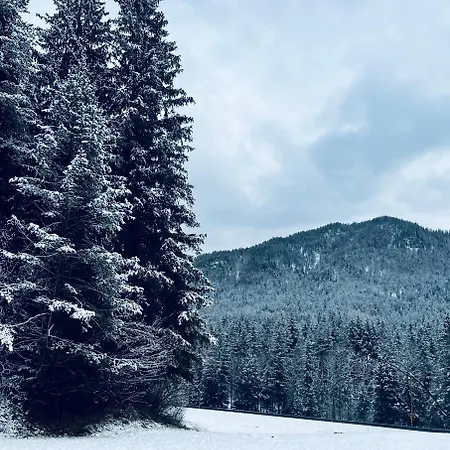 شقة Felice ايربفيندورف